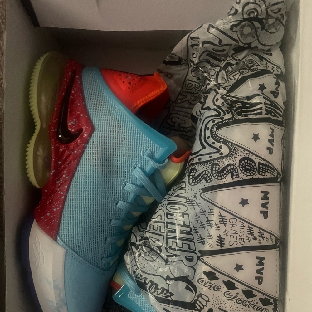 Lebron XlXO